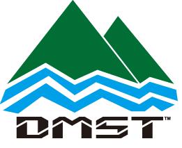 DMST Logo
